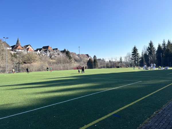 Sportanlage Teichweg Platz 2 - Dornstetten