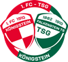 Wappen 1.FC-TSG Königstein 10/82/10 diverse
