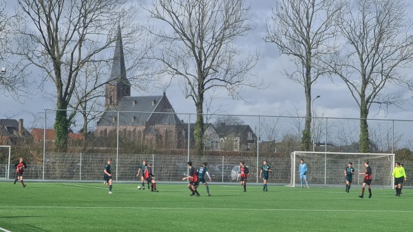 Sportpark Molenzicht veld 1 - West Betuwe-Beesd