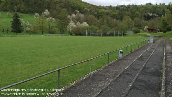 Sportanlage am Mönchswald - Neckarsulm-Dahenfeld