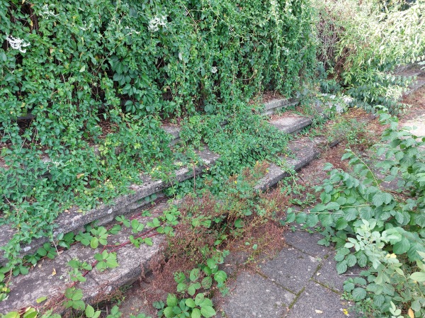 Sportplatz an der Schule - Düsseldorf-Wittlaer