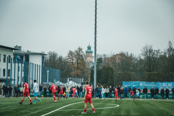 Trainingsgelände Grünwalder Straße Platz 2 - München-Giesing