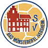 Wappen SpVgg. Bad Münstereifel-Iversheim 1925 diverse