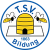 Wappen TSV Bildung Peine 1863