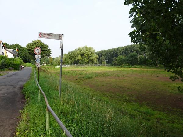 Sportplatz am Rheinufer - Bornheim/Rheinland-Hersel