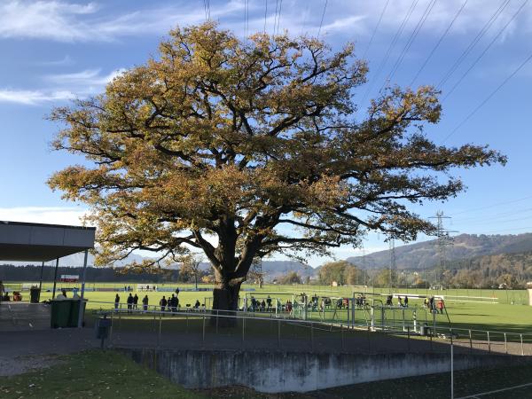 Sportanlage Untere Au - Schlins