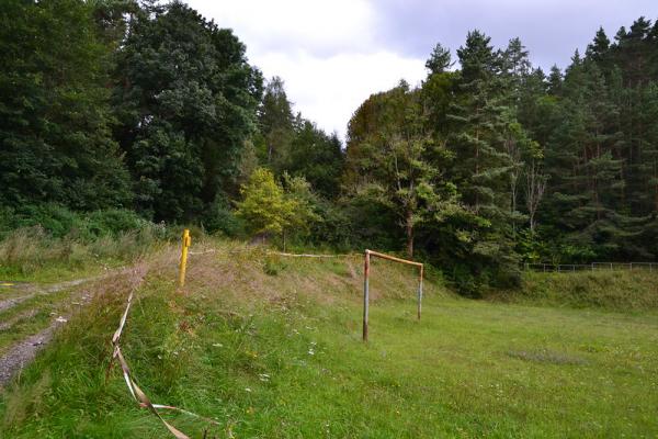 Sportplatz am Schützenhaus - Martinroda-Angelroda