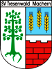 Wappen SV Tresenwald Machern 1998